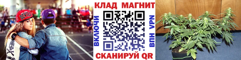 Купить наркотики цена Сосновка Кокаин  Меф  ГАШ  Канабис 