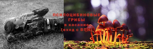 спиды Аркадак