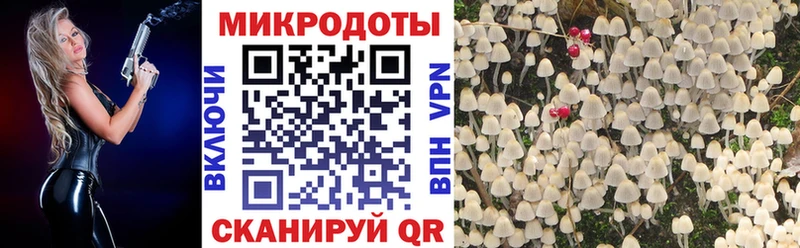 Галлюциногенные грибы Psilocybine cubensis  OMG tor  Сосновка 